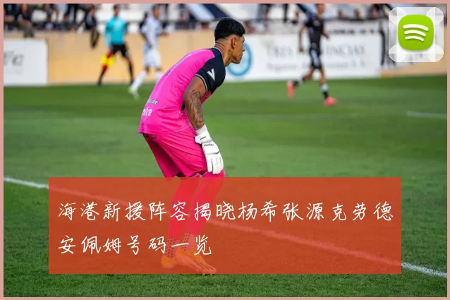 海港新援阵容揭晓杨希张源克劳德安佩姆号码一览