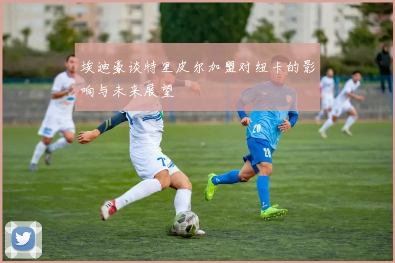 埃迪豪谈特里皮尔加盟对纽卡的影响与未来展望